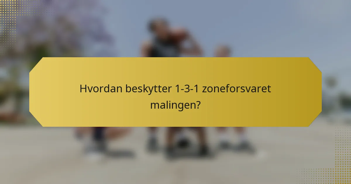 Hvordan beskytter 1-3-1 zoneforsvaret malingen?